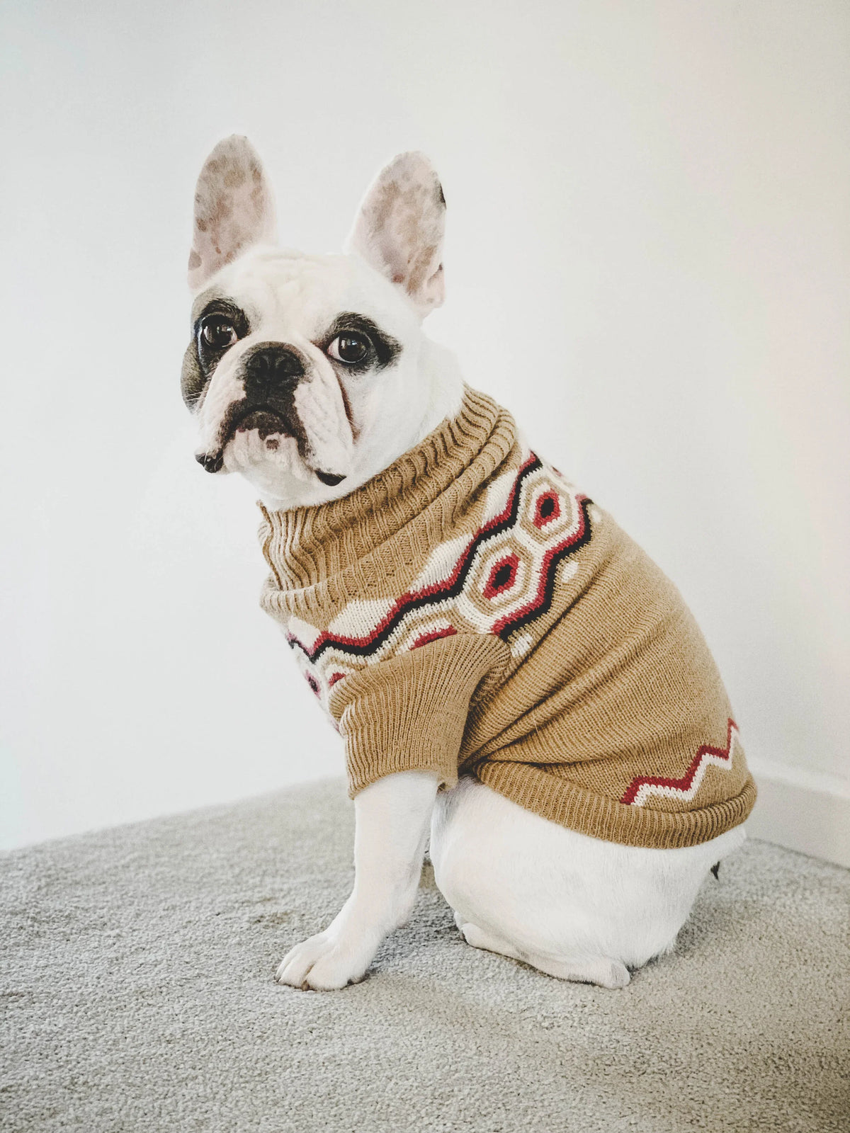 How to Keep Your Dog Warm in a Ridgecrest Winter