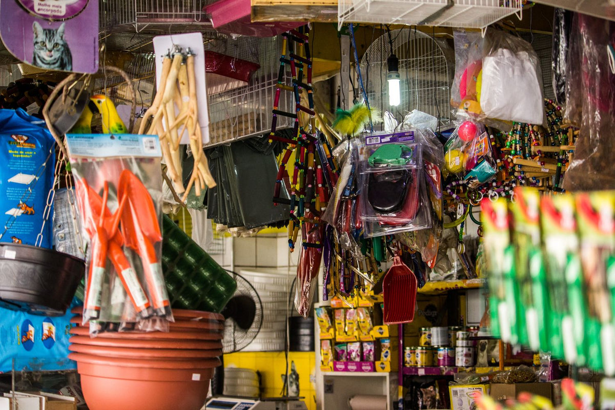 Local Pet Resources in Ridgecrest: The Complete Directory for Pet Owners
